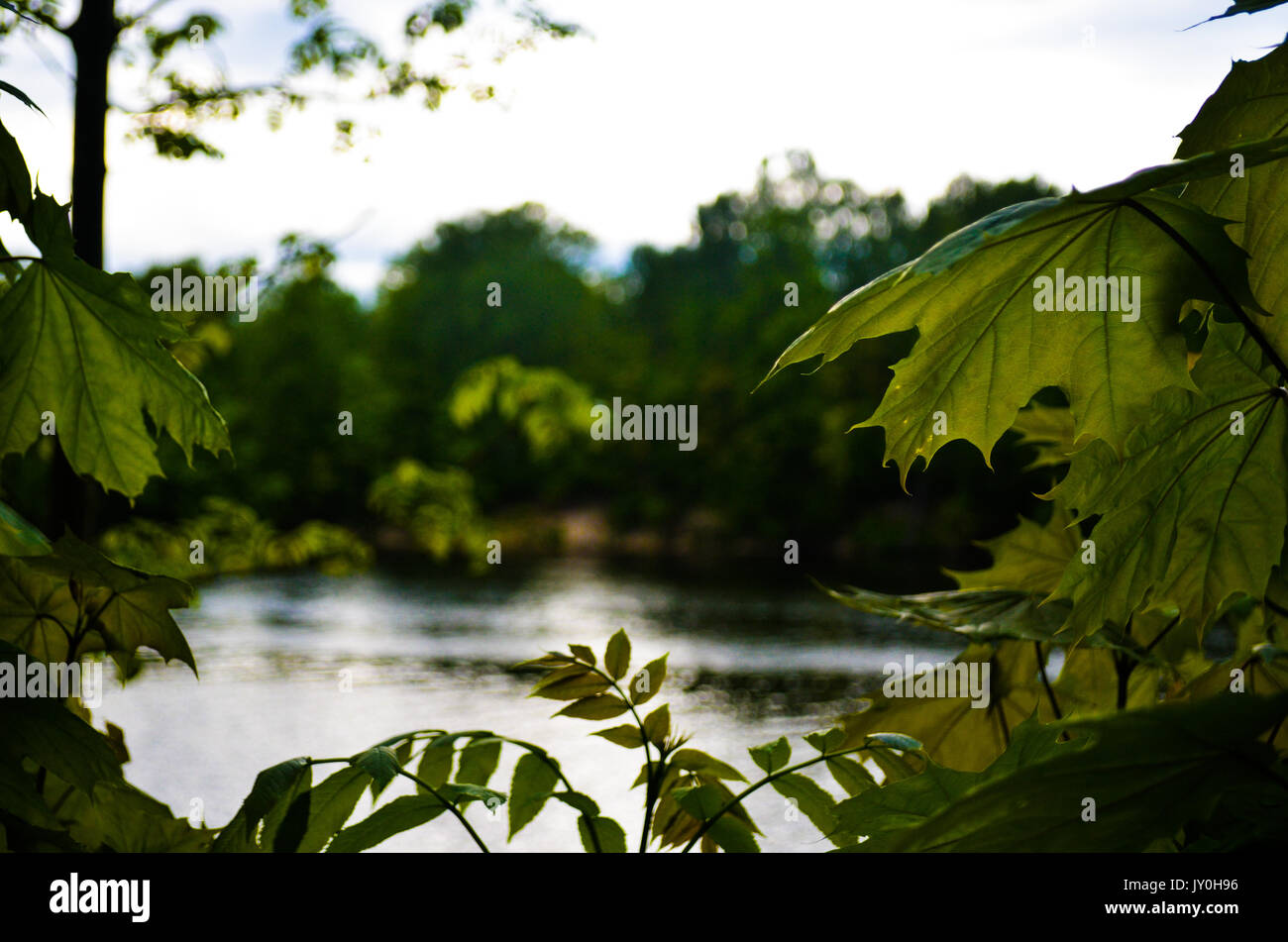 Discover earth hi-res stock photography and images - Alamy