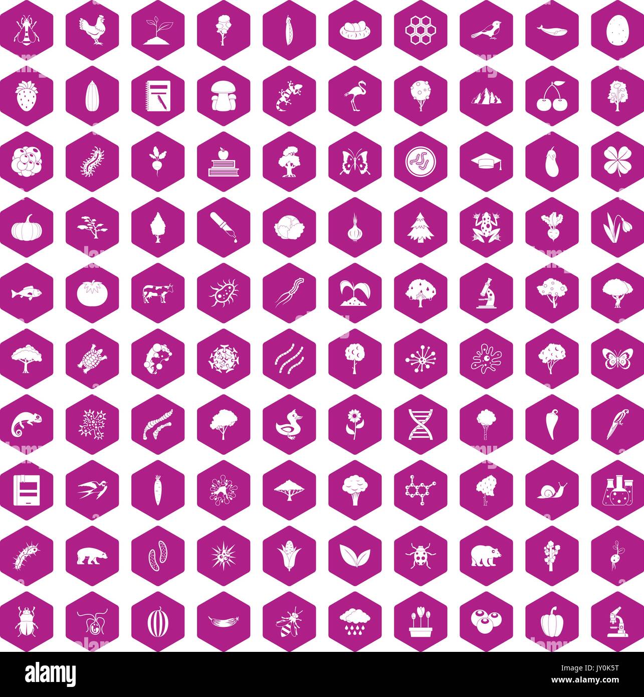 100 microbiology icons hexagon violet Stock Vector