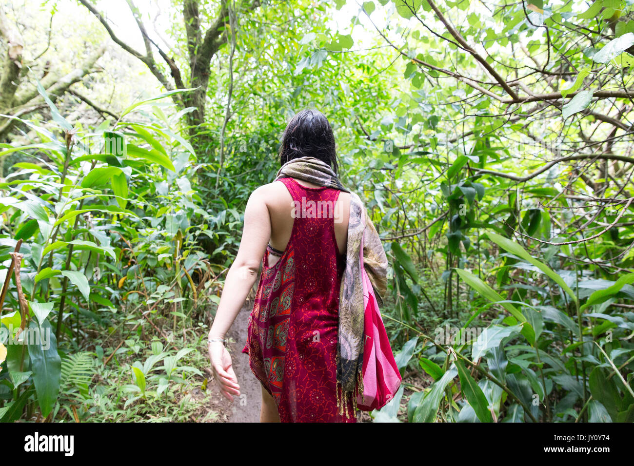 Black american woman woods rear view hi-res stock photography and ...