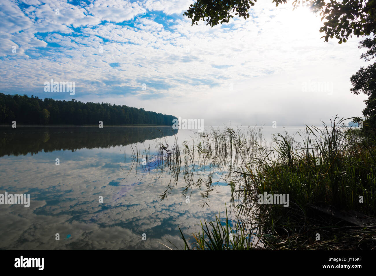 Beautifull misty morning at a lake Stock Photo - Alamy