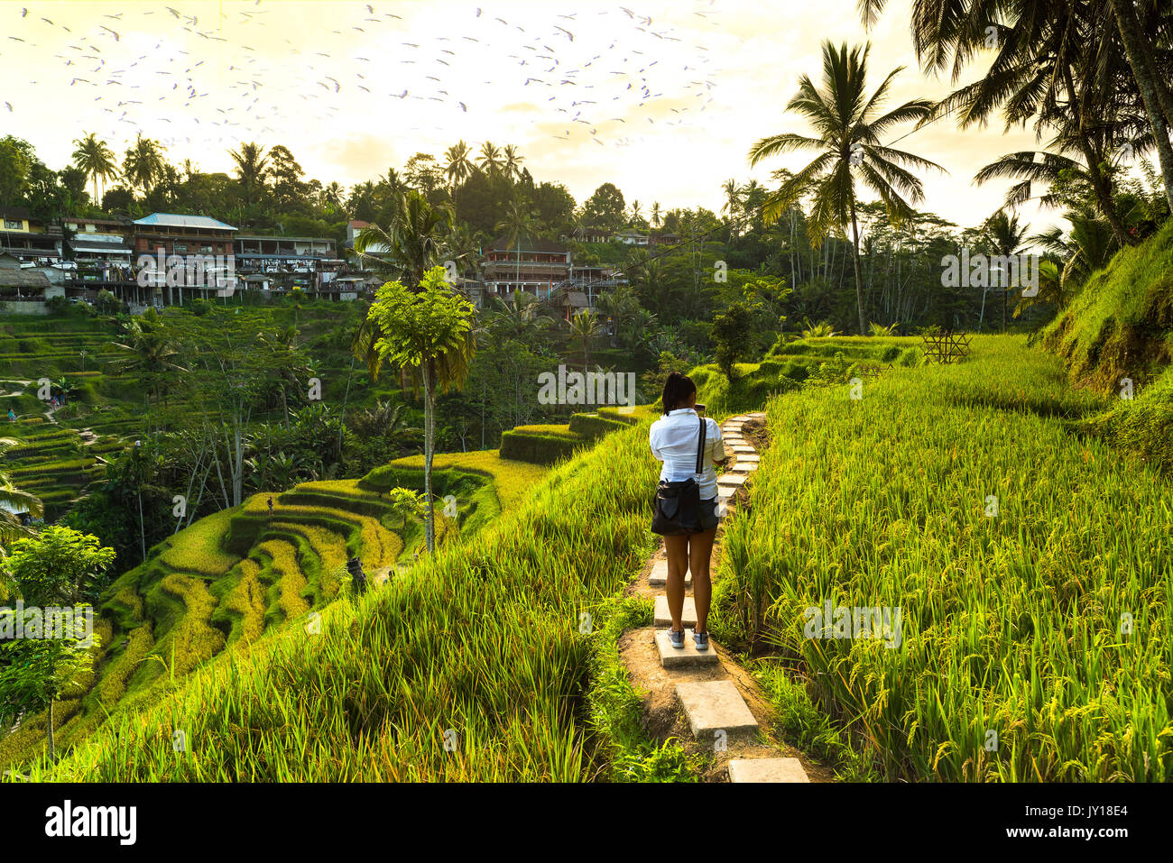 The girl who took pictures in rice fields in Tegalalang village, Ubud, Bali, Indonesia. Stock Photo