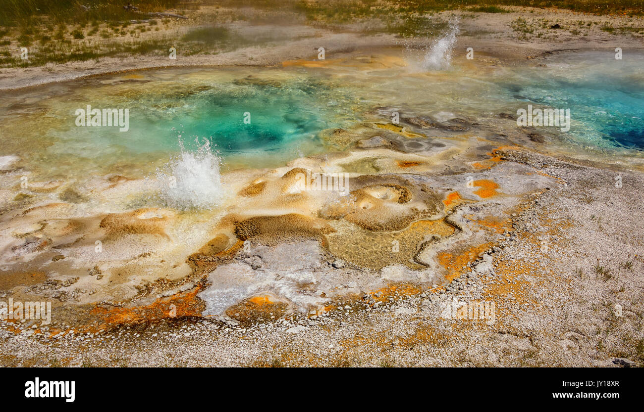 Erupting geysers in Spasmodic Geyser area, Upper Geyser Basin