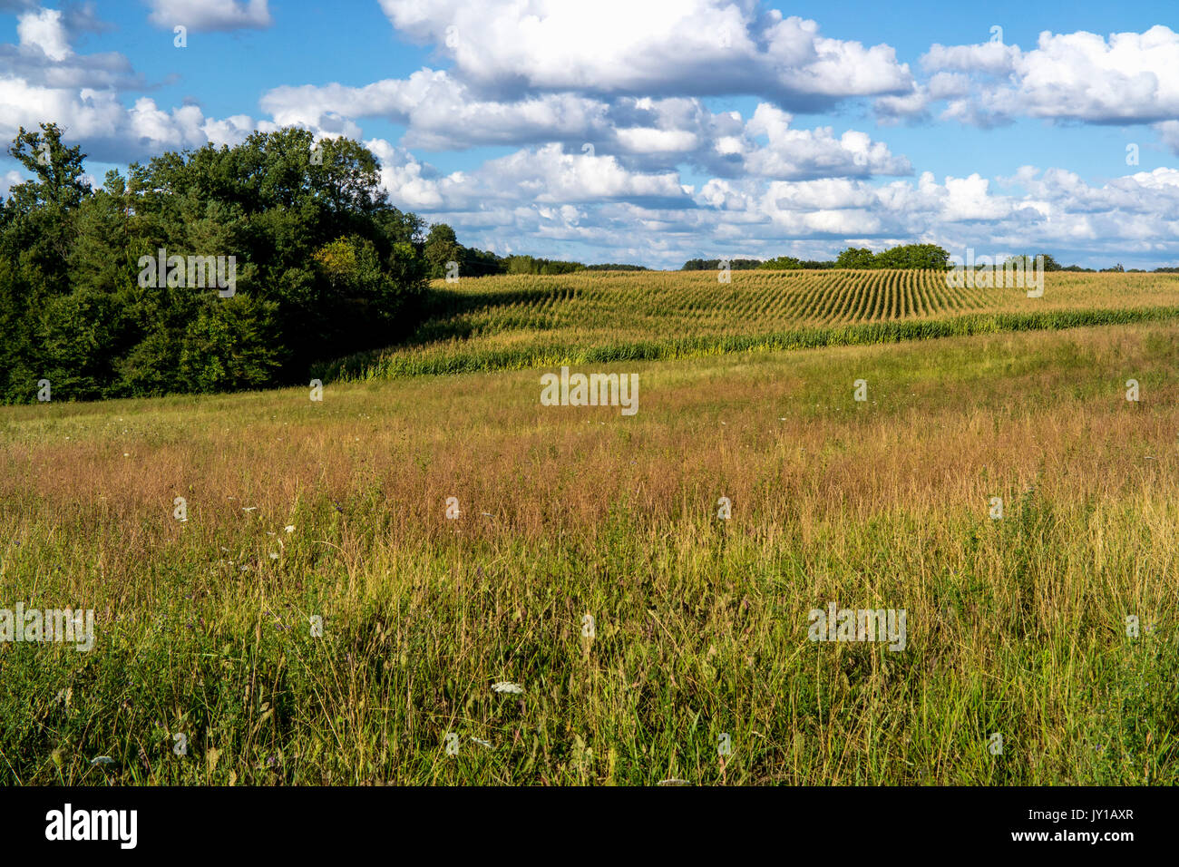 Rural scene Stock Photo