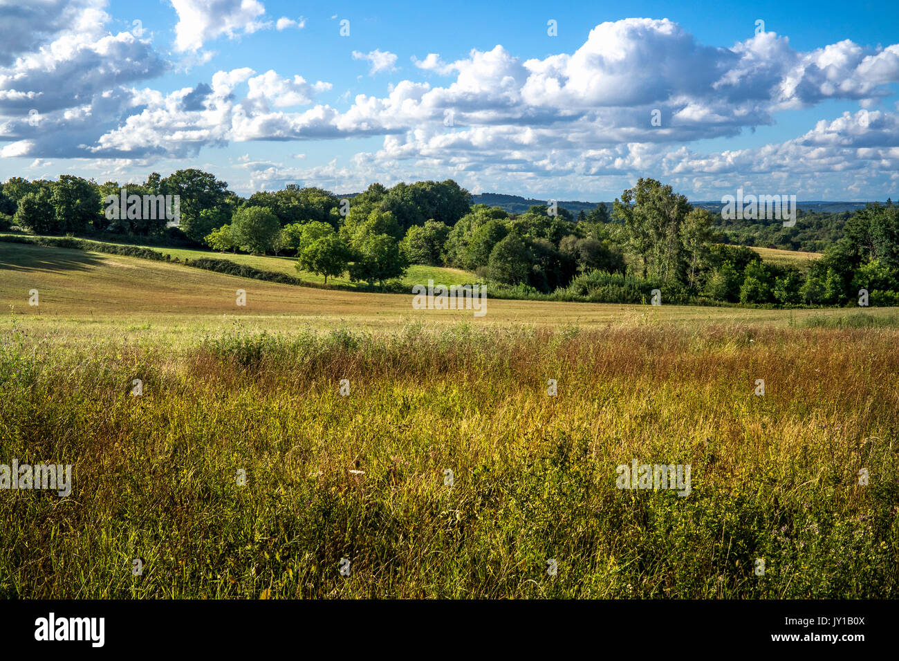 Rural scene Stock Photo