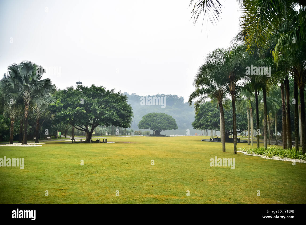 Landscape of beautiful park with palms and trees Stock Photo - Alamy