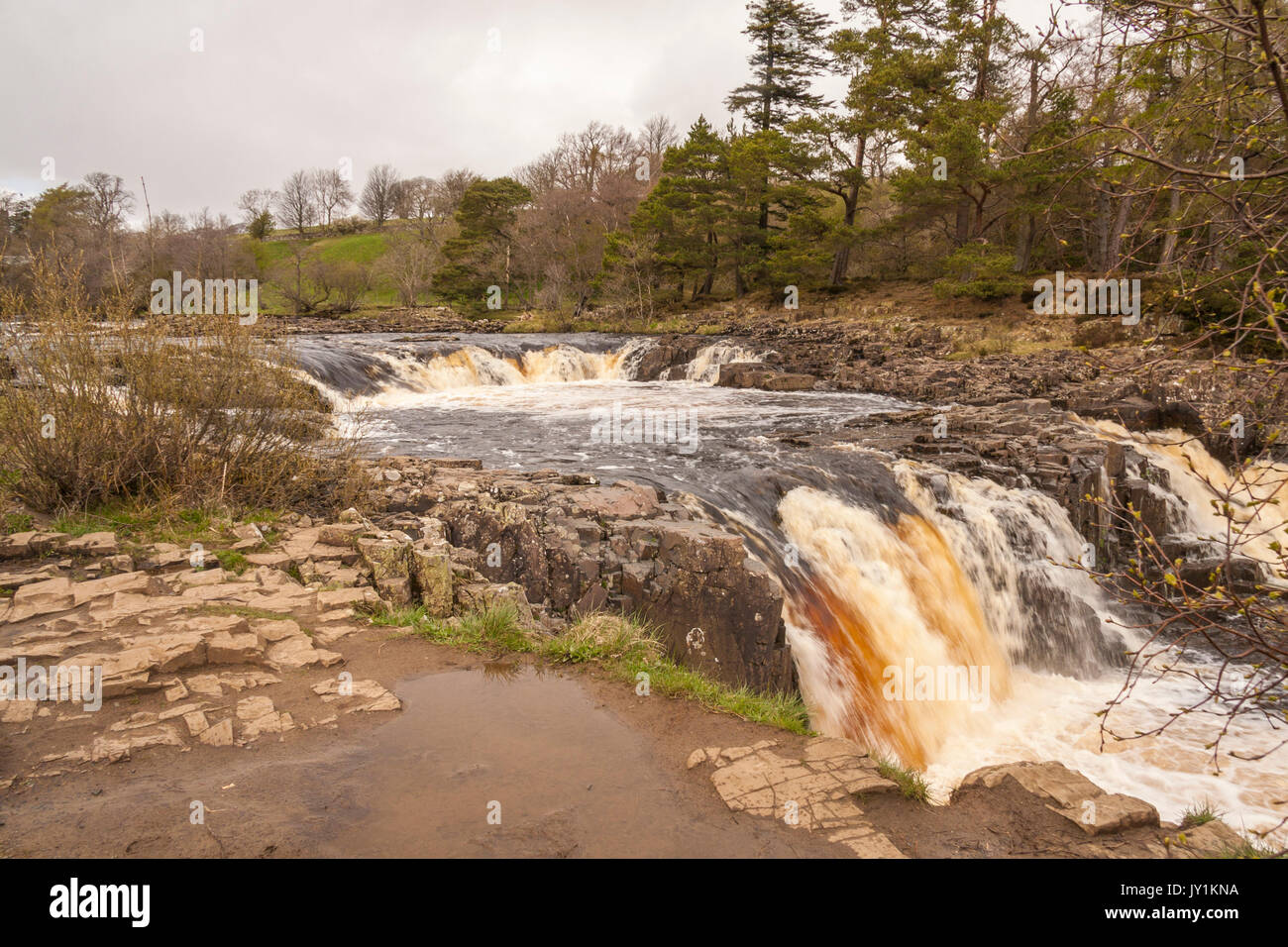 Waterfalls at Low Force,Bowlees,Teesdale,England,UK Stock Photo