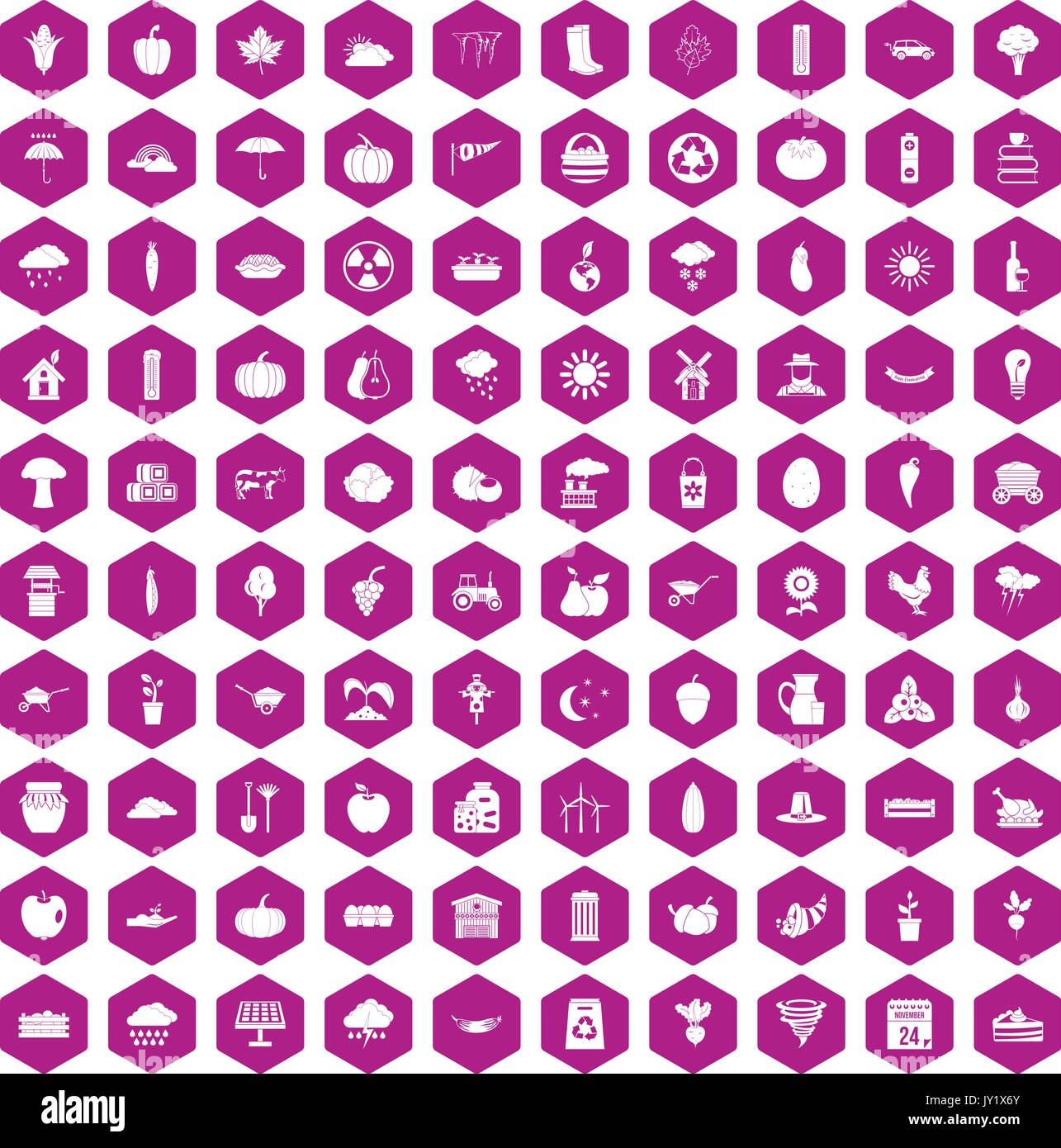 100 pumpkin icons hexagon violet Stock Vector