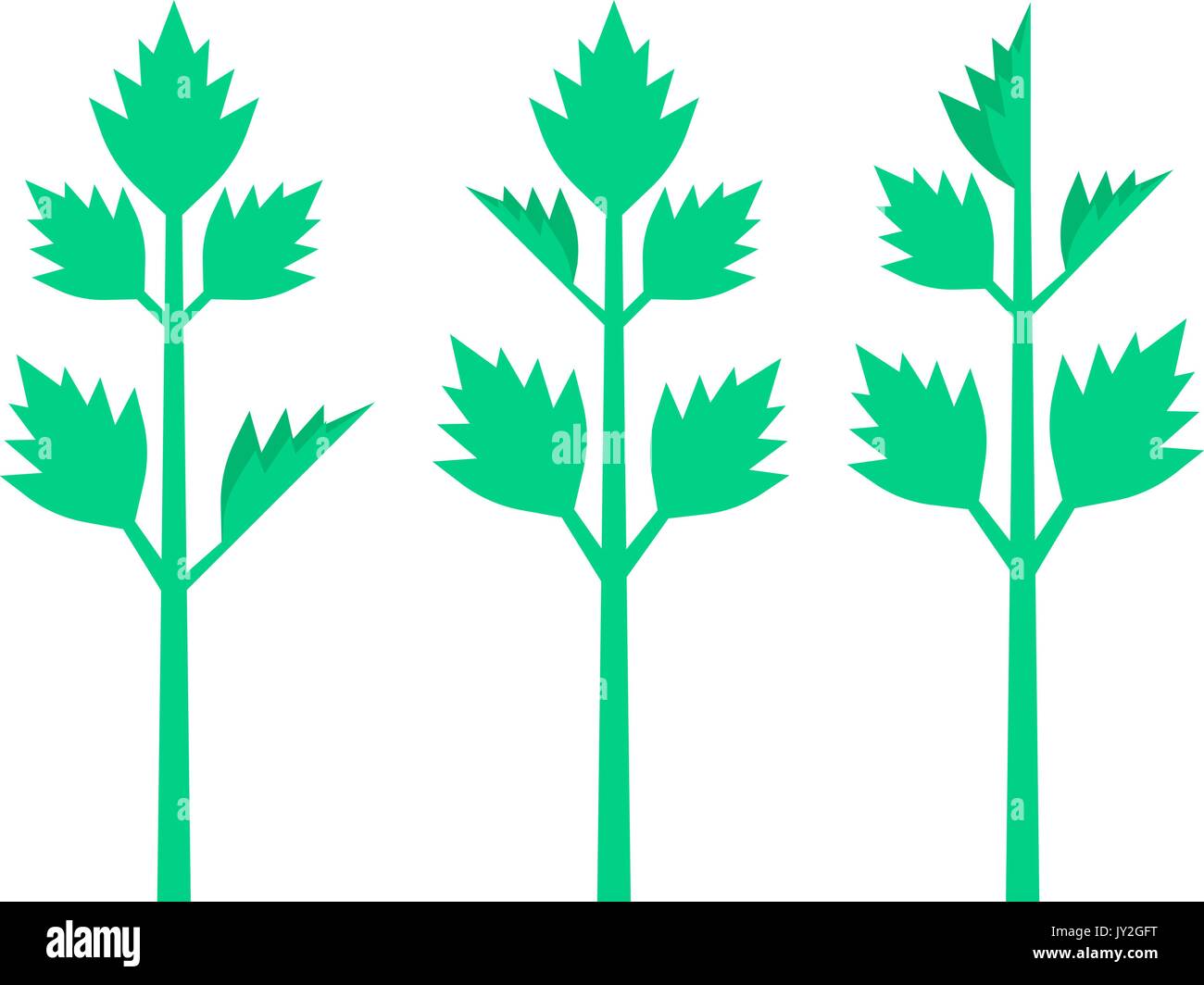 celery leaves on white background Stock Vector