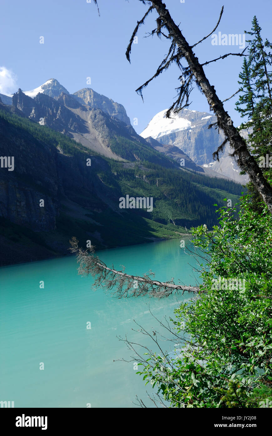 Beautiful Lake Louise in Banff National Park, Alberta Stock Photo - Alamy