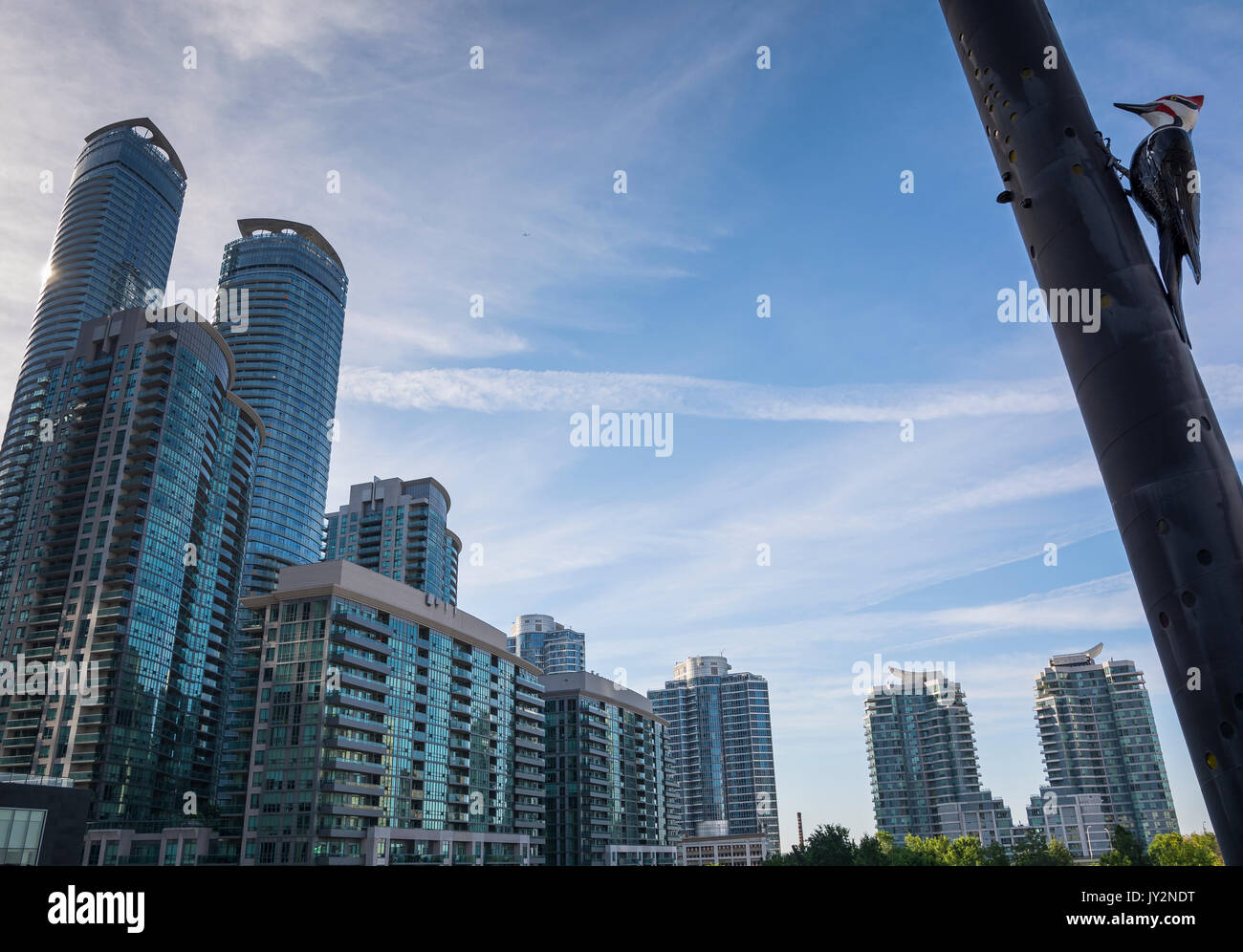 Toronto,Canada-august 2,2015:Blue Jay look the skyline of Toronto near the Metro convention centre in downtown Toronto during a sunny day Stock Photo