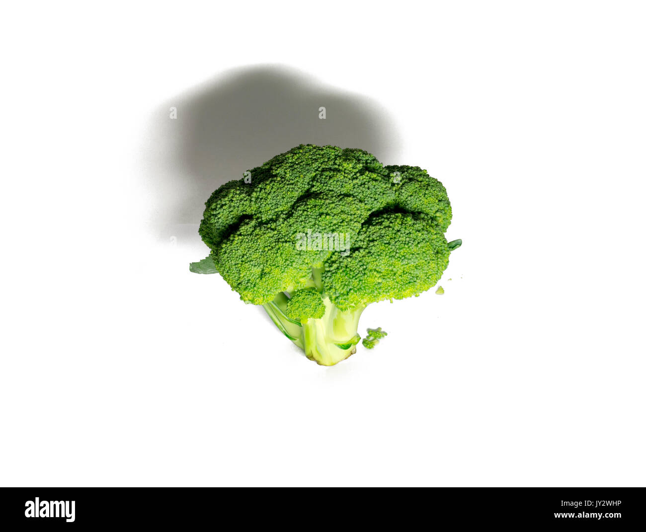 broccoli isolated on white background. food, object. Stock Photo