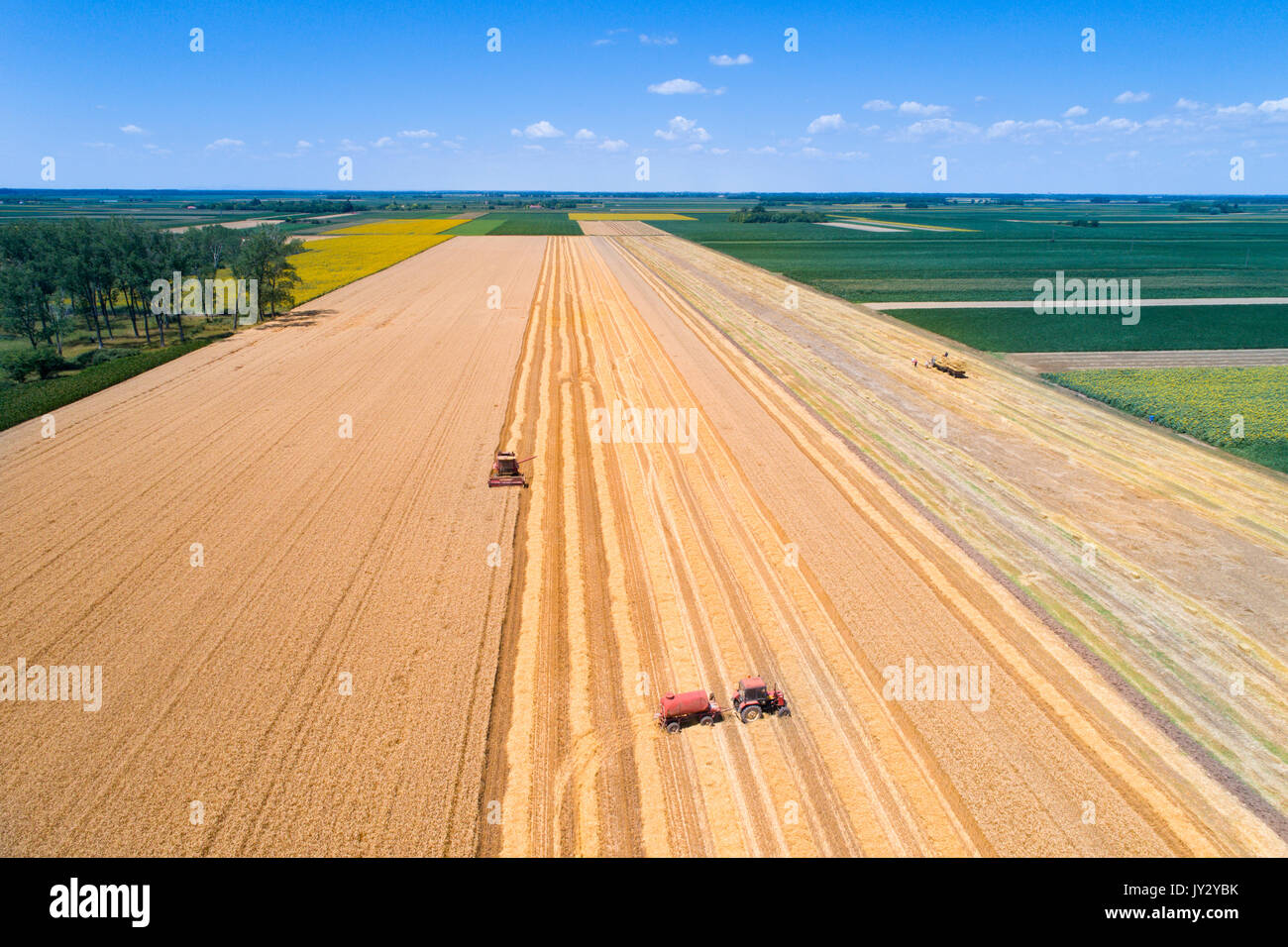 Aerial image of combine harvester and tractor working in wheat field ...