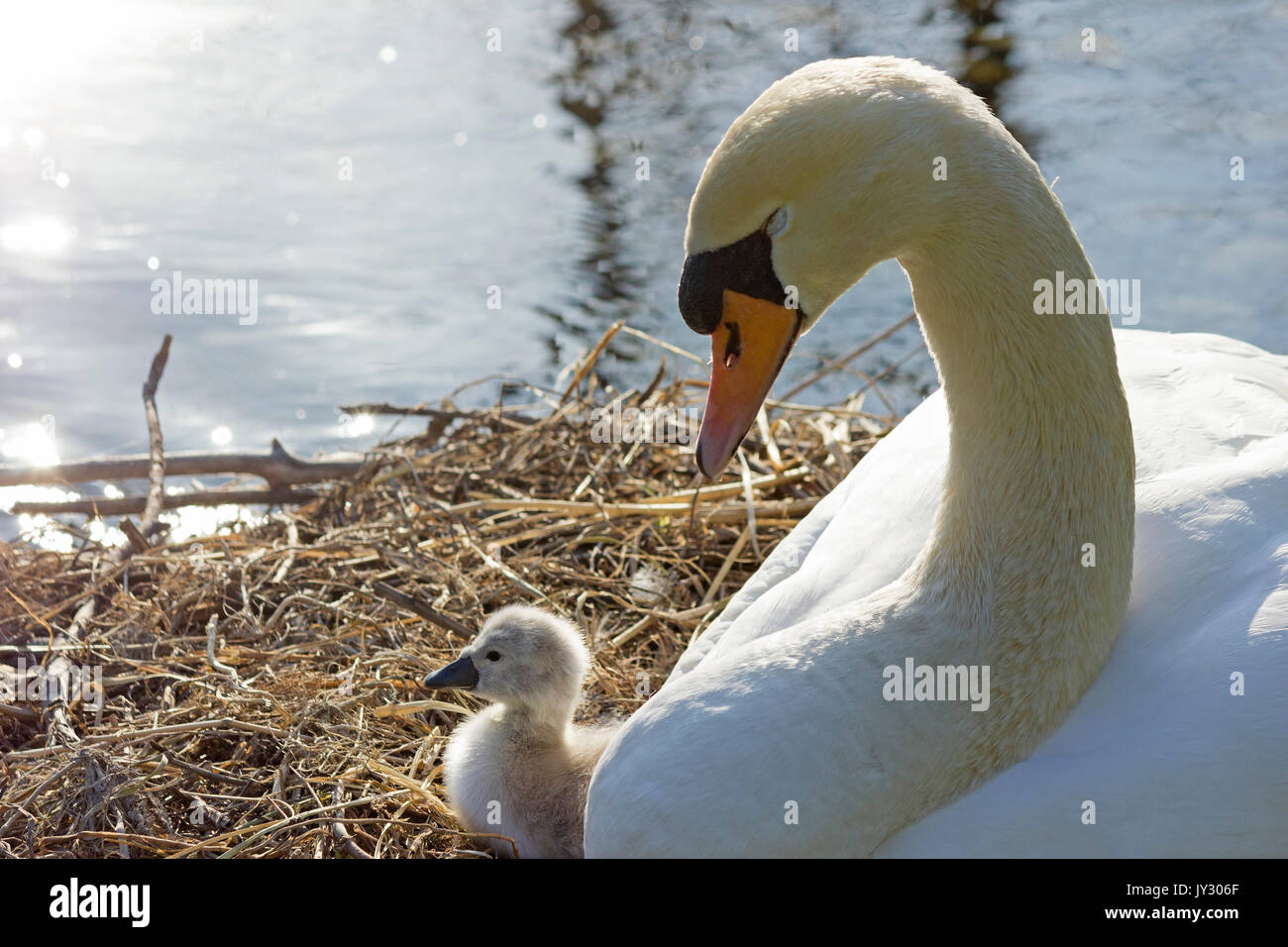 A lovely with his mother Stock Photo Alamy