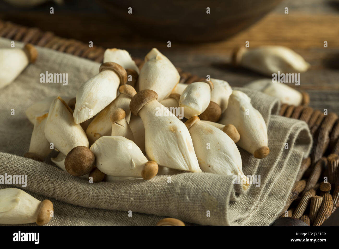 Raw Organic Baby King Oyster Mushrooms Ready to Eat Stock Photo