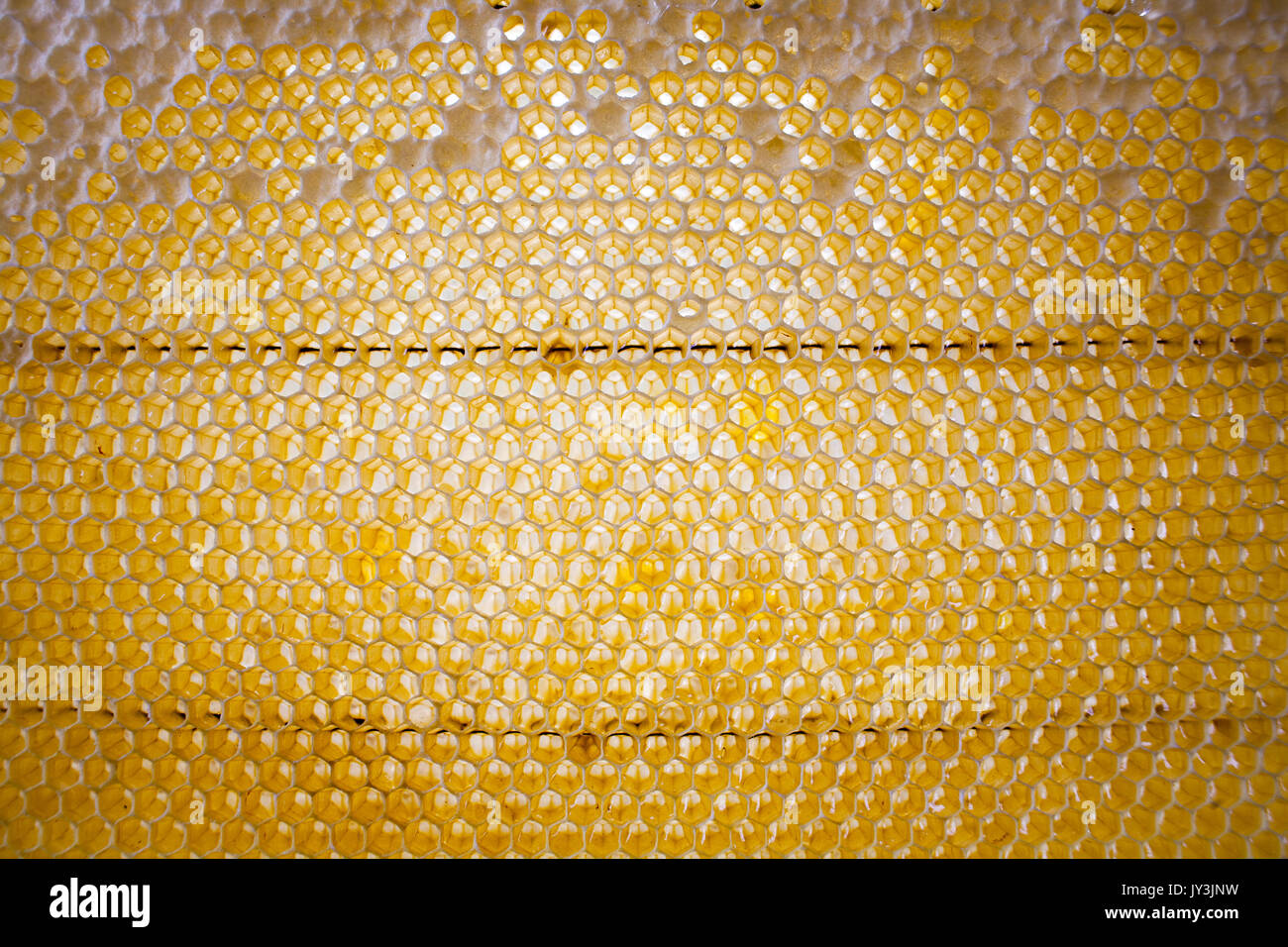honey comb background or texture Stock Photo - Alamy