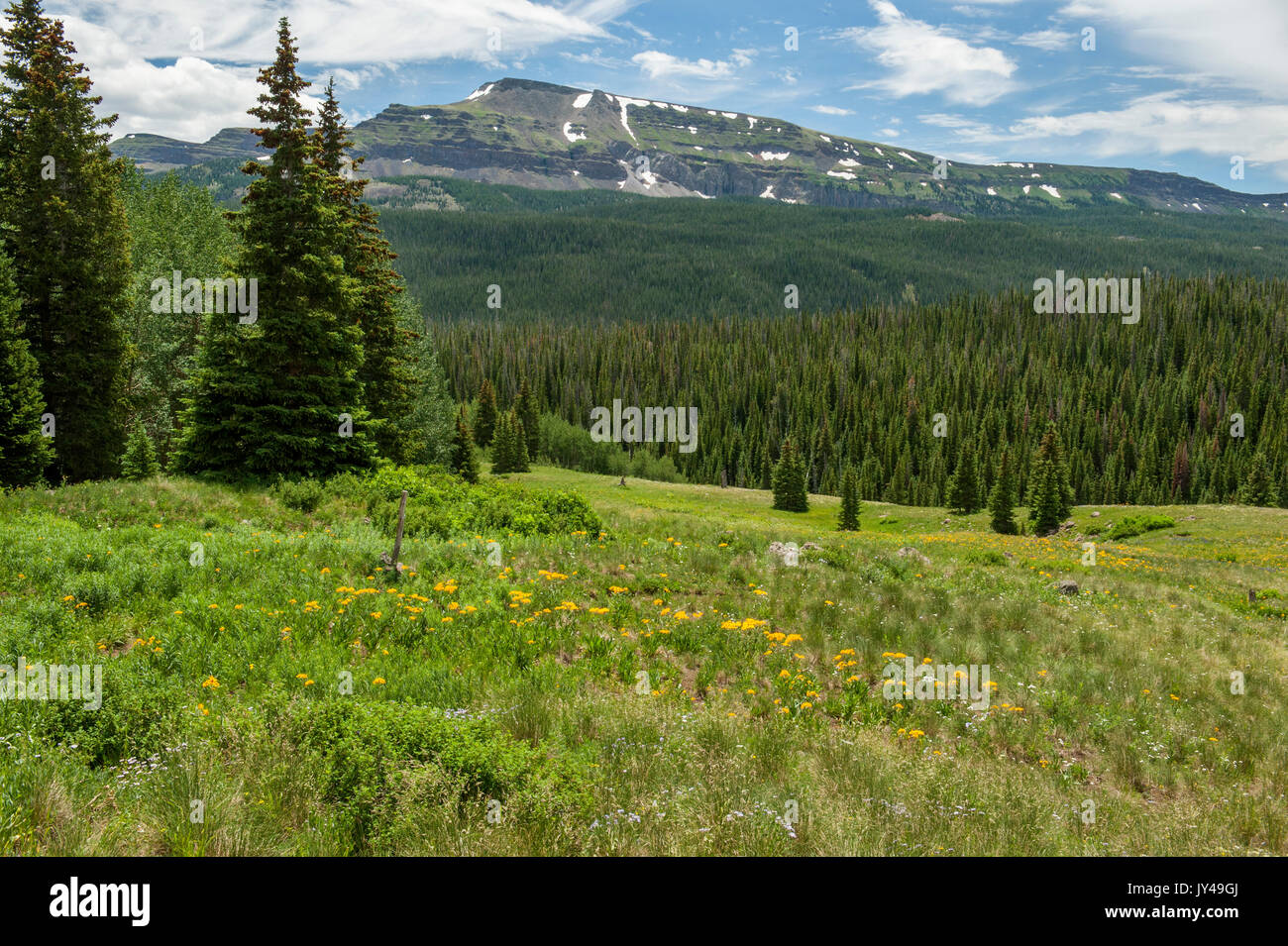 Flat Top Mountain, as seen from the Mandall trail in northwestern