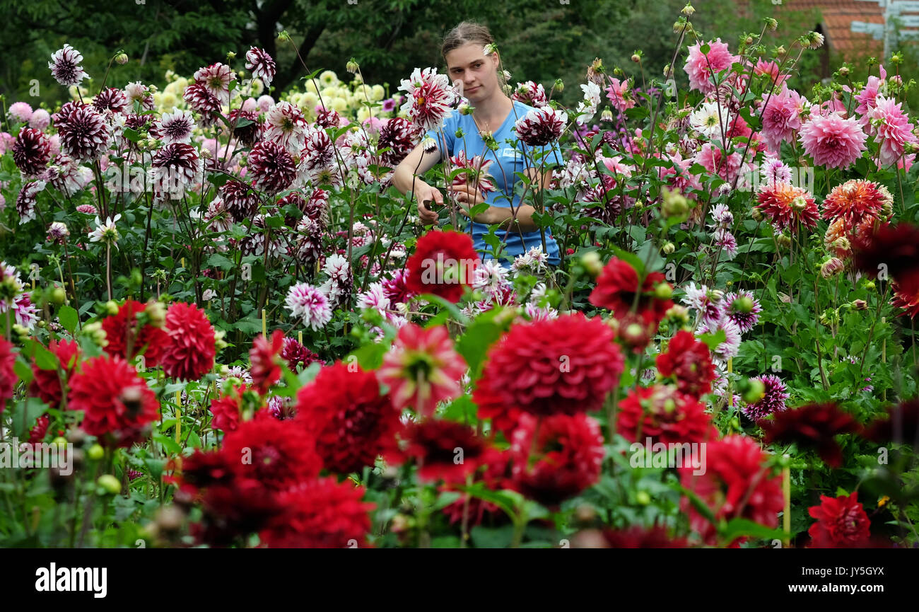 Gardener Julia Tobies Working At The Egapark The Grounds Of The
