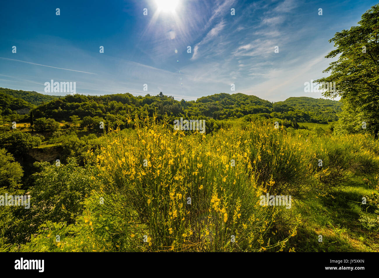 green and yellow on hilly countryside near in Italy Stock Photo -