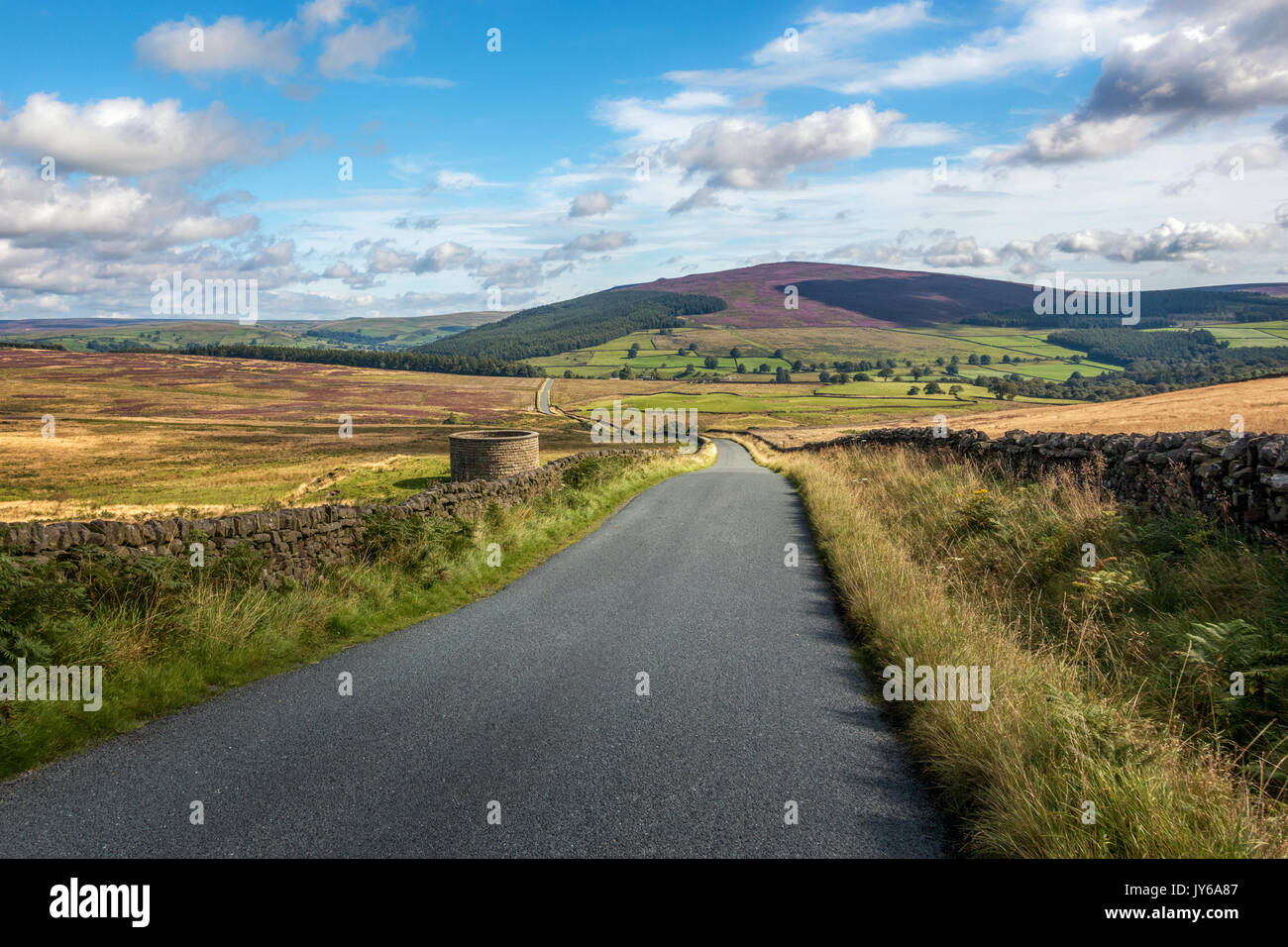 Views of the Yorkshire Dales with heather capped hills and stunning quiet country lanes, Barden, England, UK Stock Photo