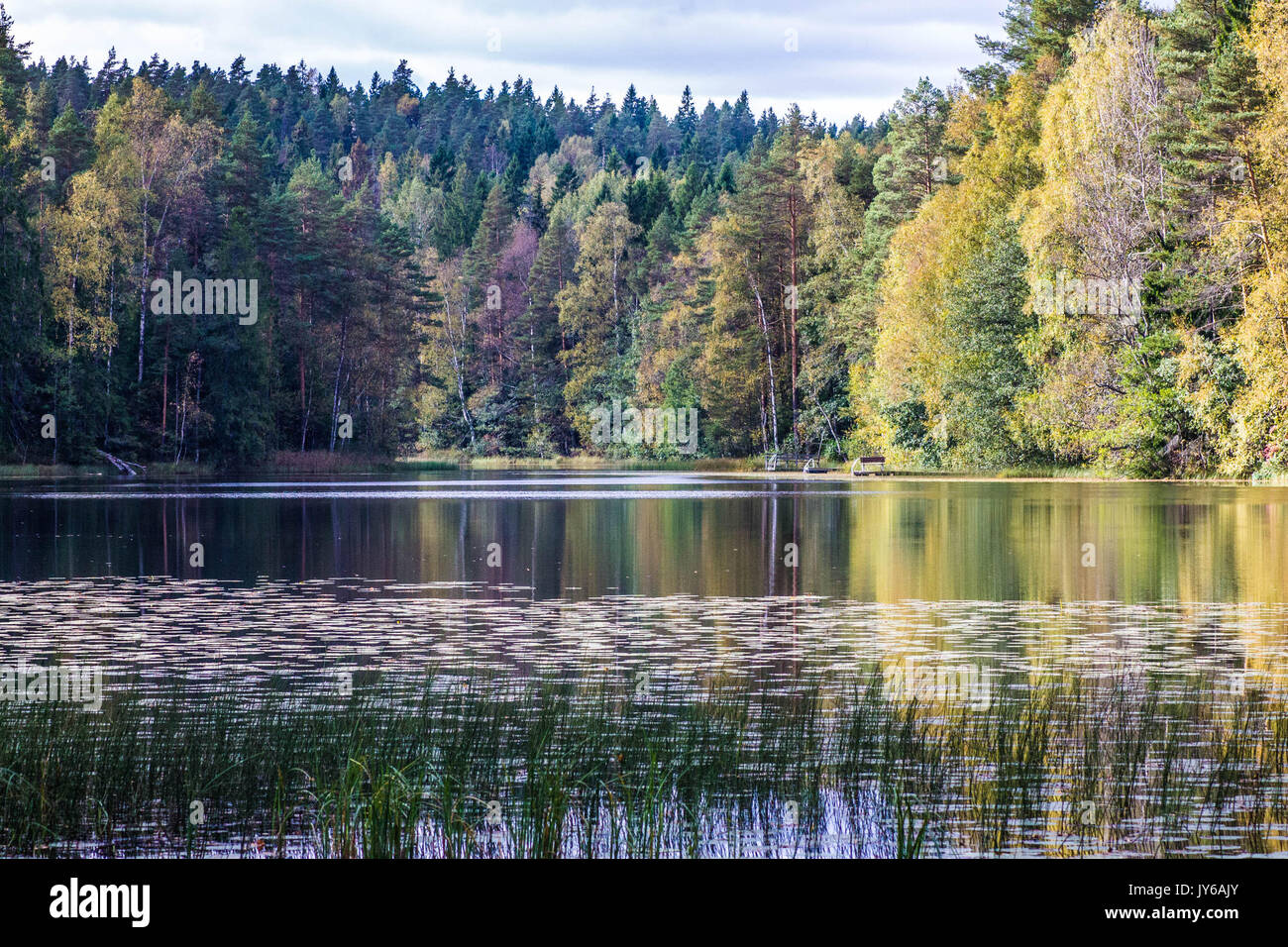 Nuuksio National Park Near Helsinki Stock Photo Alamy