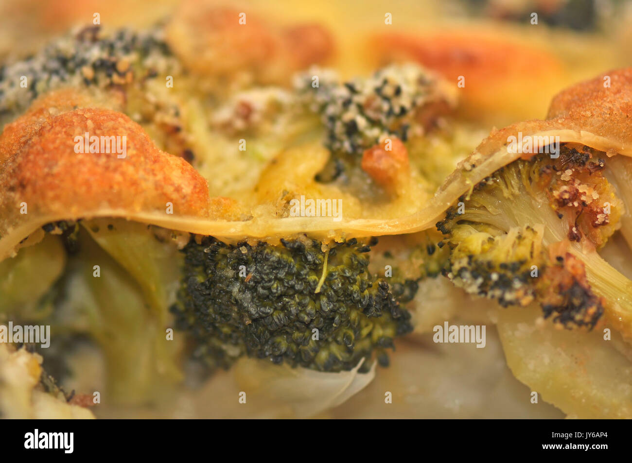 Vegetarian Broccoli and Cheese Homemade Crispy Oven Baked Lasagna Stock Photo