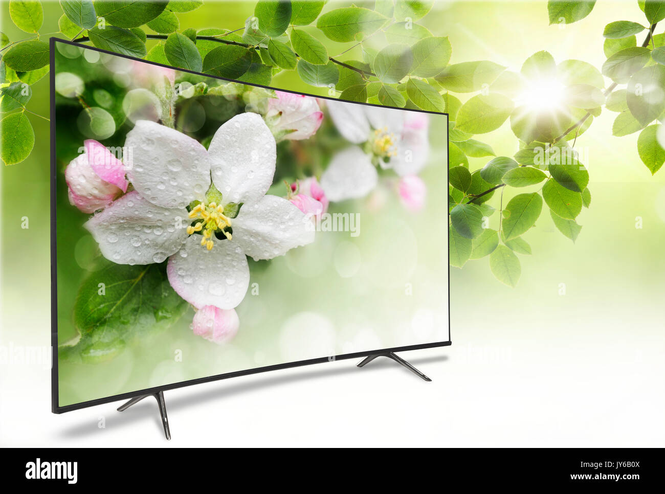 4k monitor isolated on white. Isometric view.  TV panoramic on the background of a spring-like view of green foliage with a bright sun. On the screen  Stock Photo