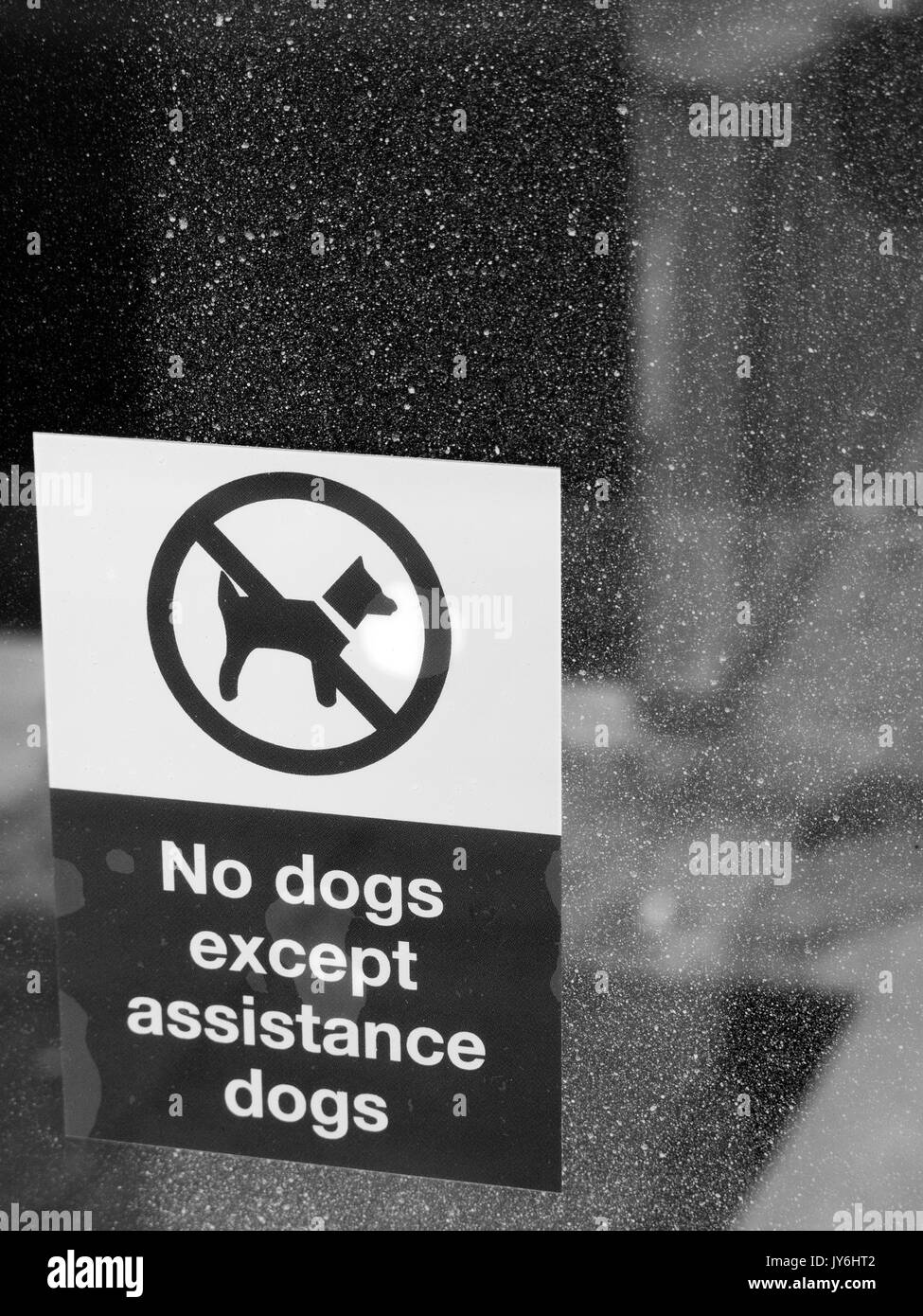No dogs except assistance dogs sign on dusty vacant retail shop window Stock Photo