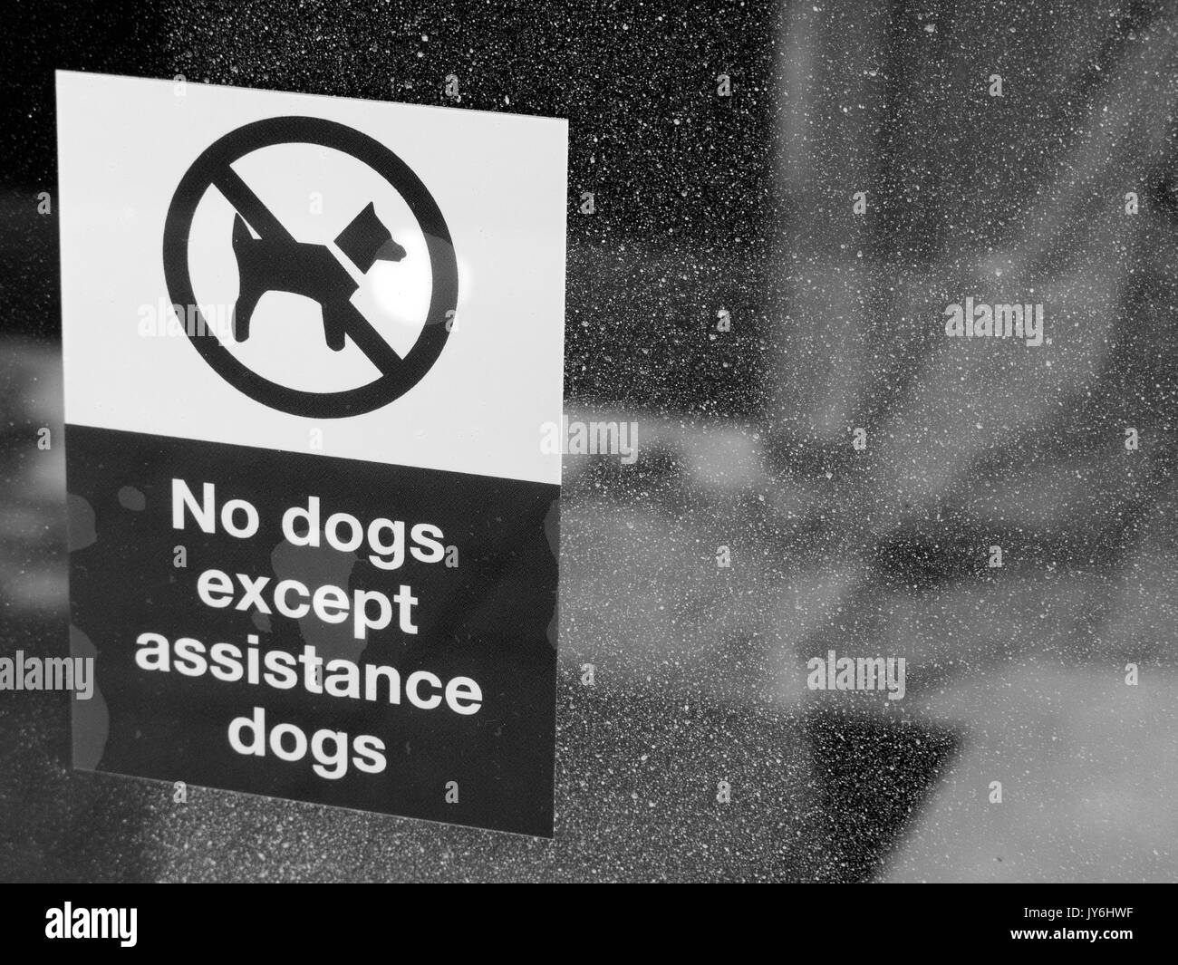 No dogs except assistance dogs sign on dusty vacant retail shop window Stock Photo