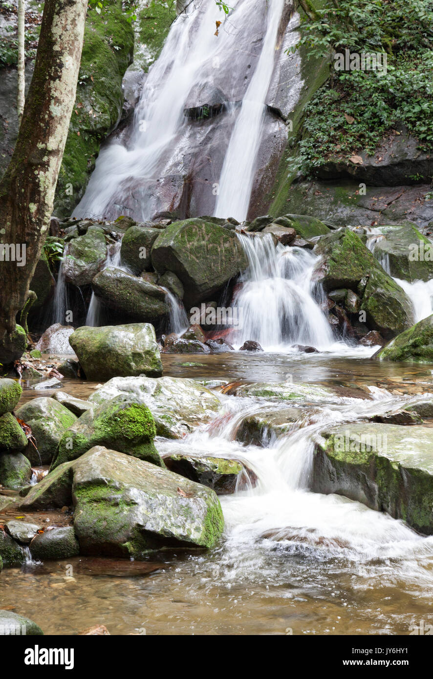 Waterfall at Poring Hot Springs,Kinabalu National Park, Sabah,  Borneo Stock Photo