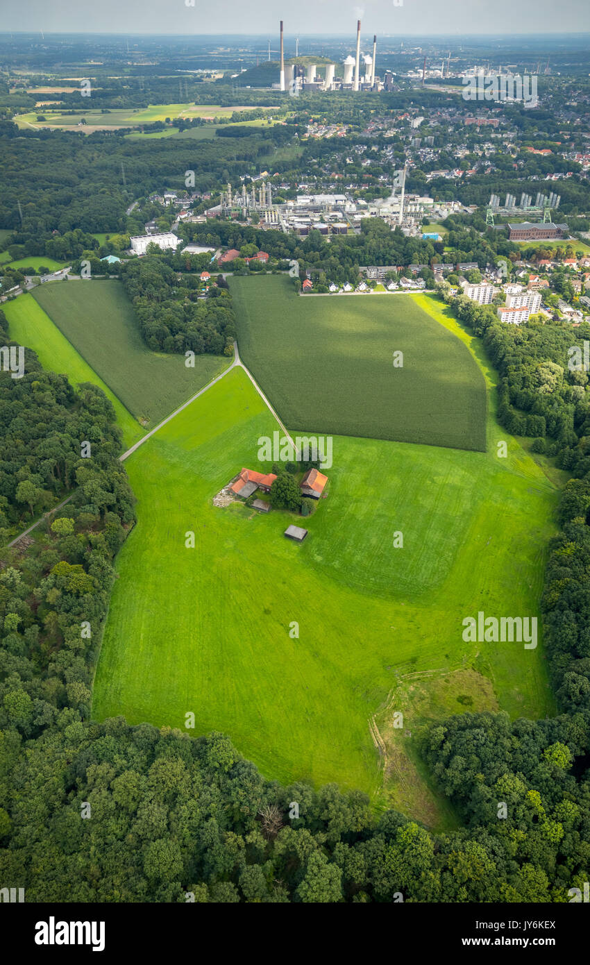 Well study area Schanze Heide, farms, farm, west of the phenolic chemistry, INEOS Phenol, Gladbeck, Ruhr, Nordrhein-Westfalen, Germany, Europe, Gladbe Stock Photo