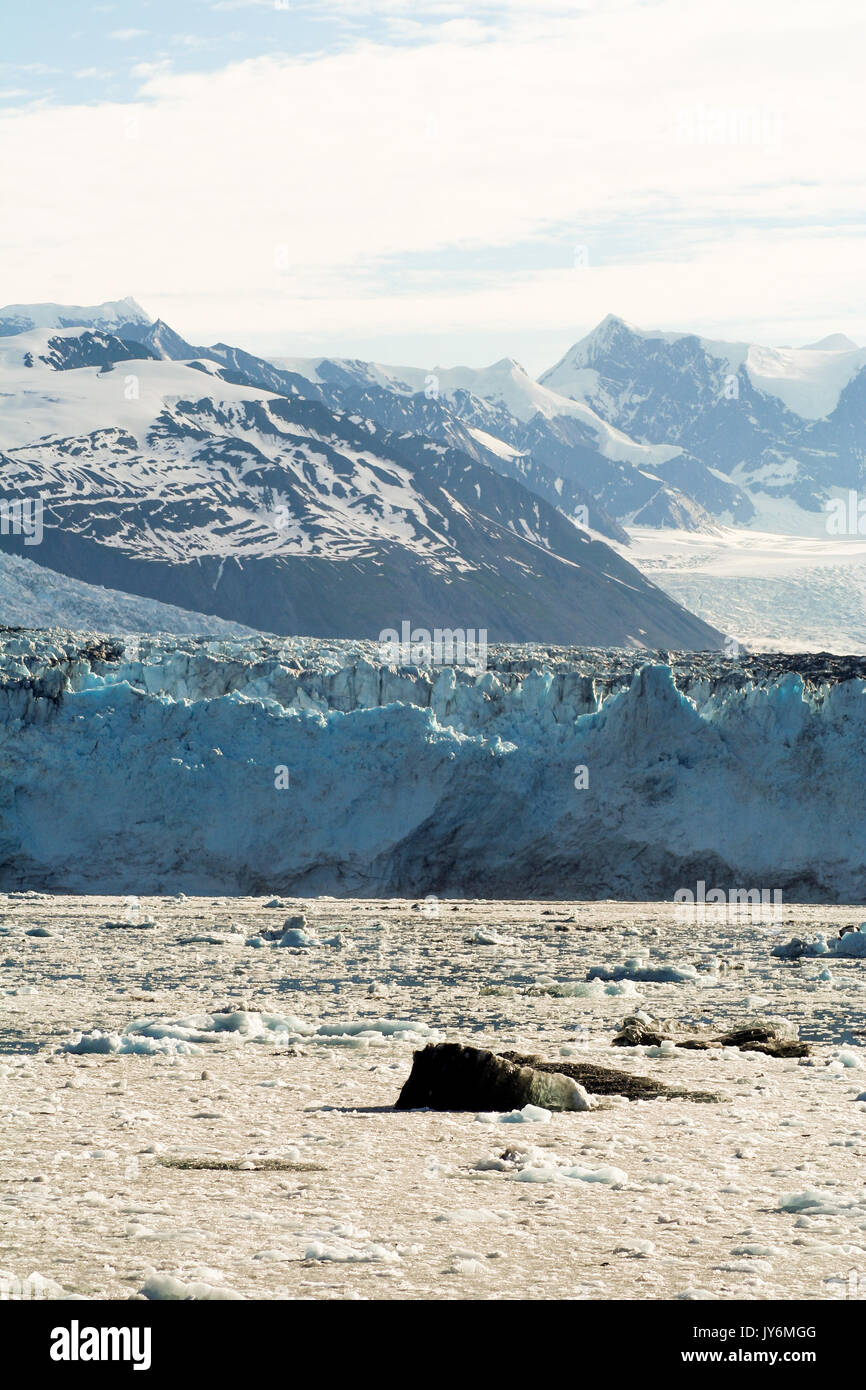 Glaciers in Prince William Sound Alaska