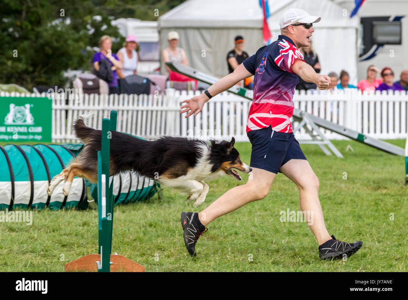 Rockingham, Northamptonshire, U.K. Kennel Club International. Dog