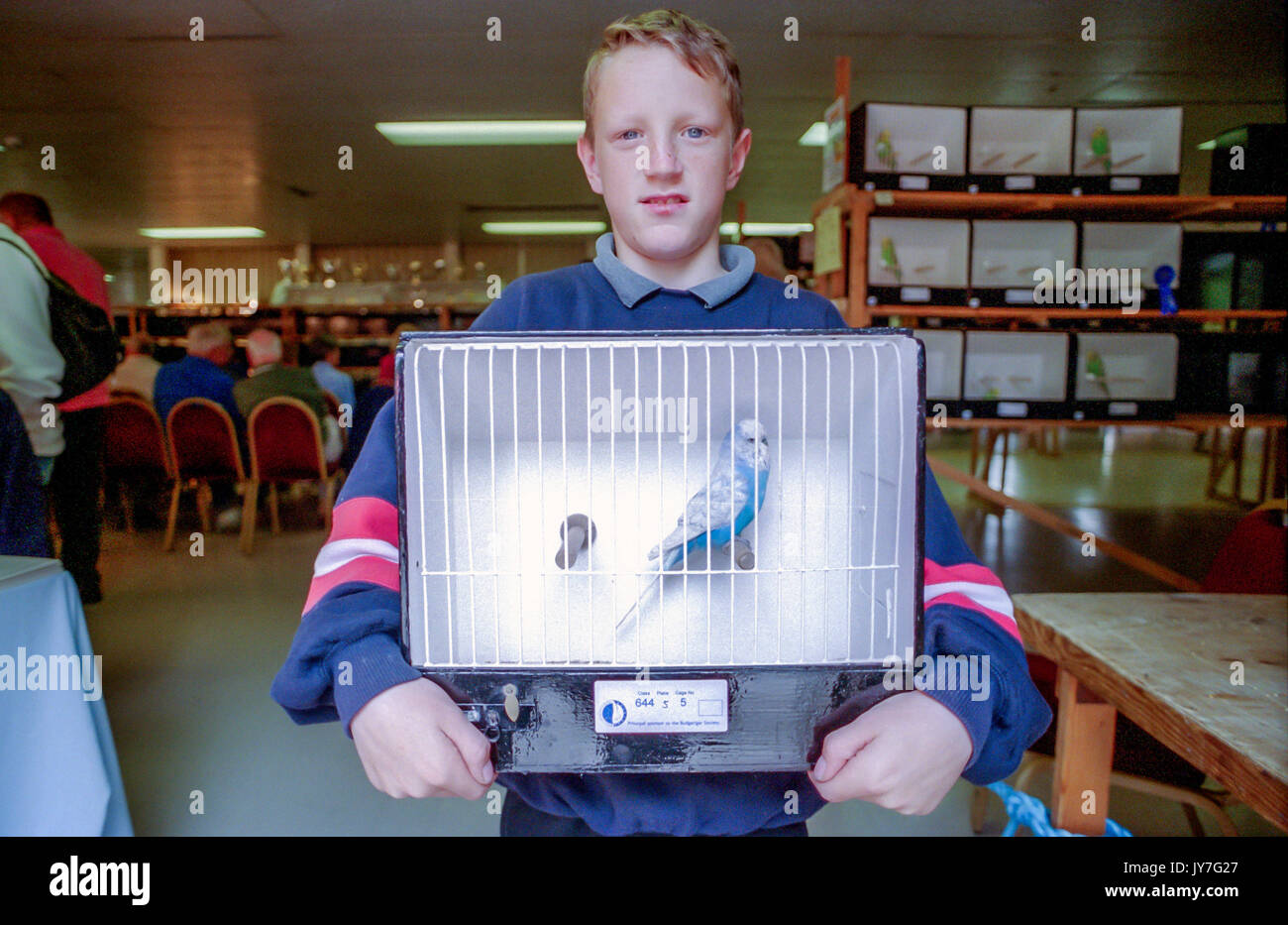 The Budgerigar Society's annual show at Eastbourne's Devonshire Park in ...