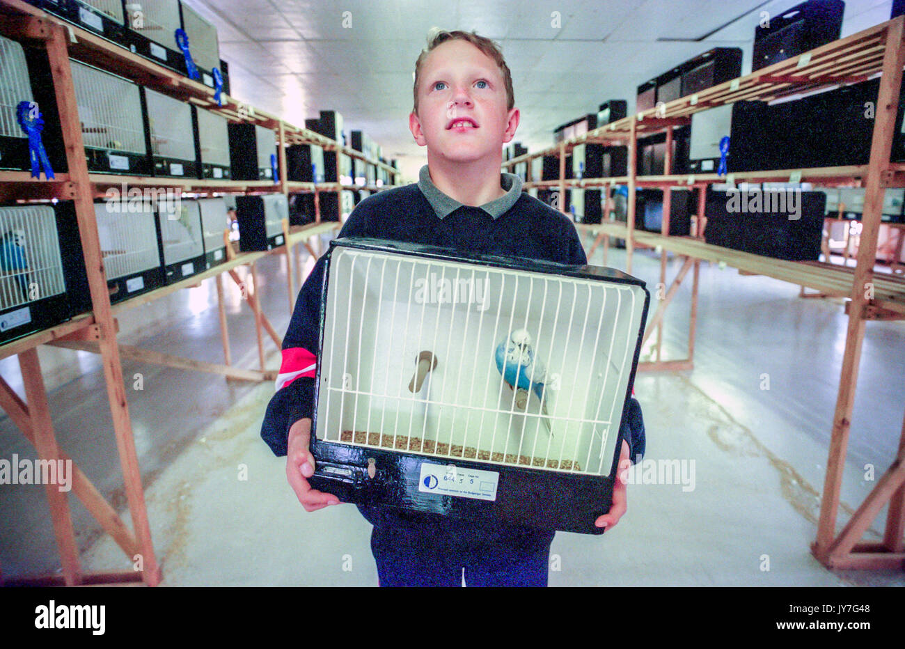 The Budgerigar Society's annual show at Eastbourne's Devonshire Park in ...