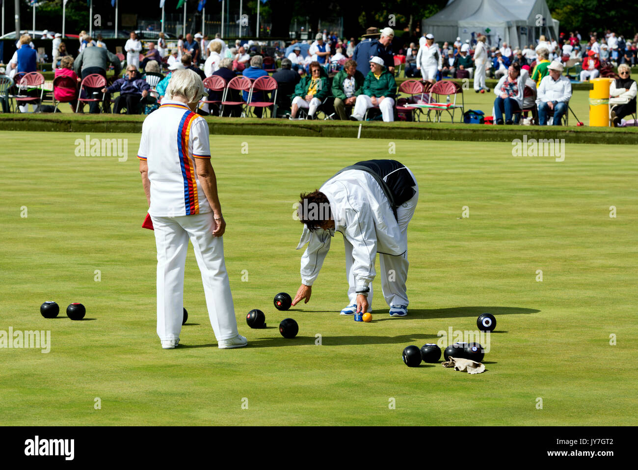 A lawn bowls umpire measuring the distance of a wood from the jack Stock  Photo - Alamy