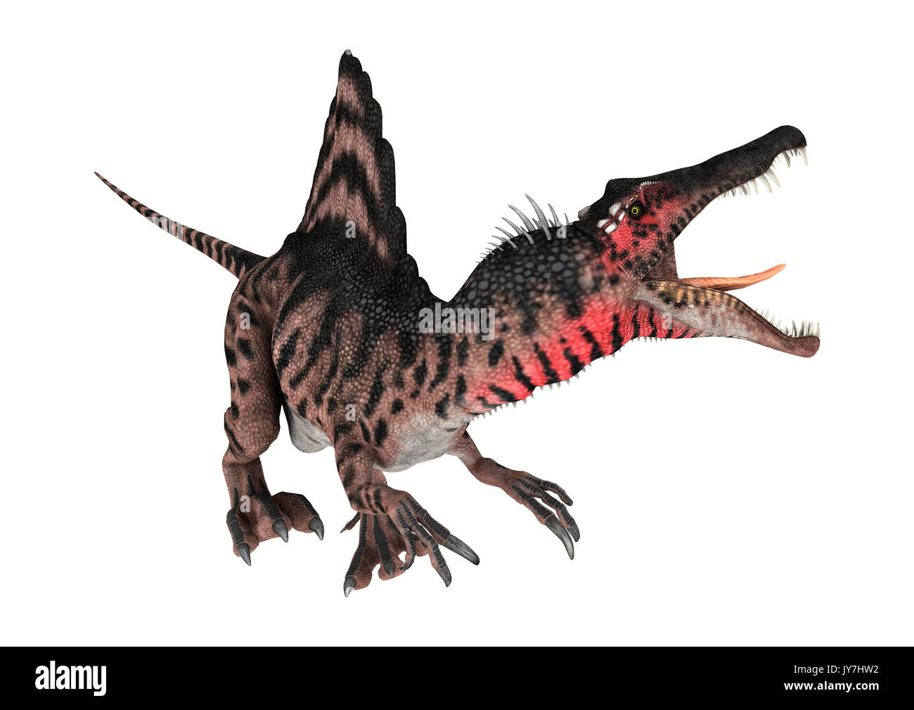 3D rendering of a dinosaur Spinosaurus isolated on white background ...