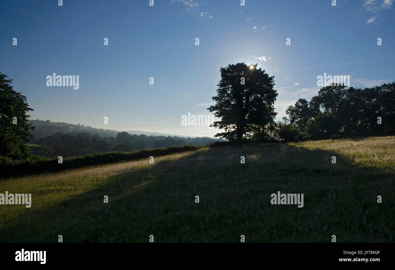 Early morning sun rays hi-res stock photography and images - Alamy