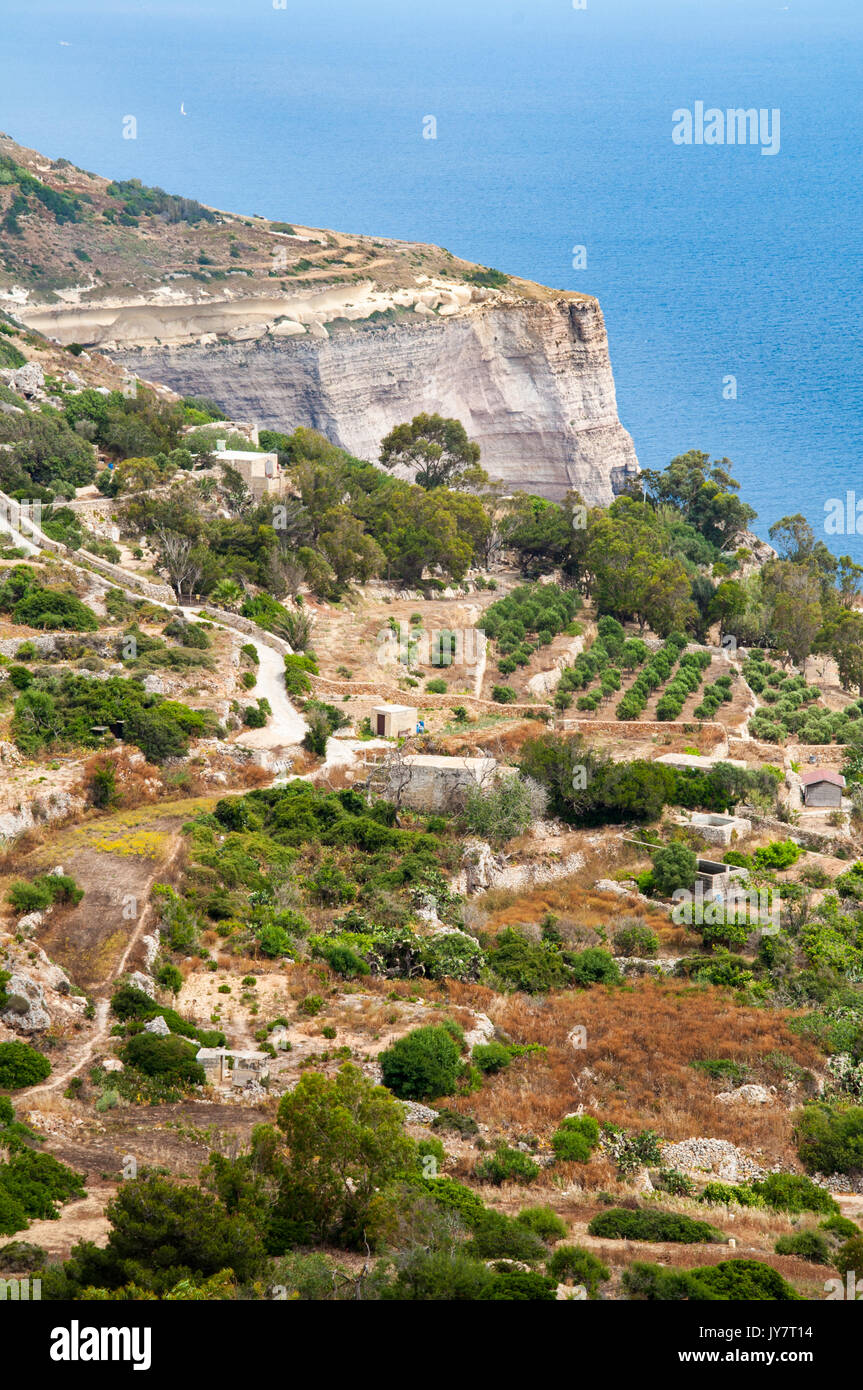The Dingli Cliffs, Malta Stock Photo