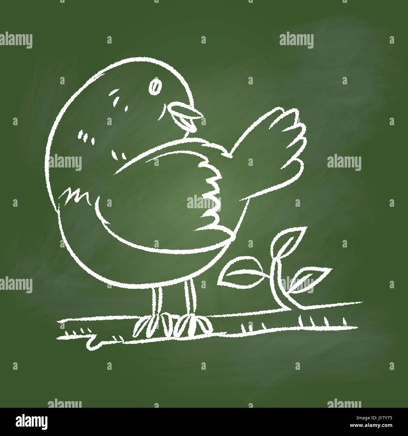 Hand drawing of a bird on branch with textured green board. Education Concept, Vector Illustration Stock Vector