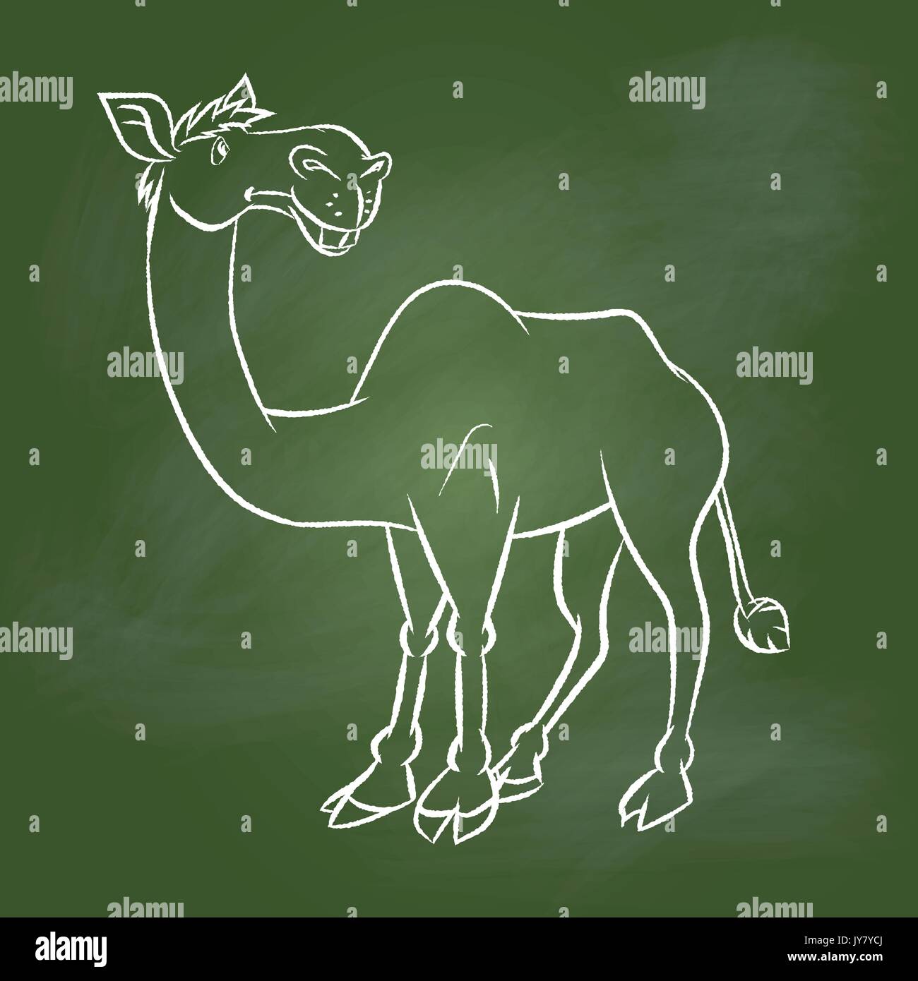 Hand drawing of a Camel with textured green board. Education Concept, Vector Illustration Stock Vector