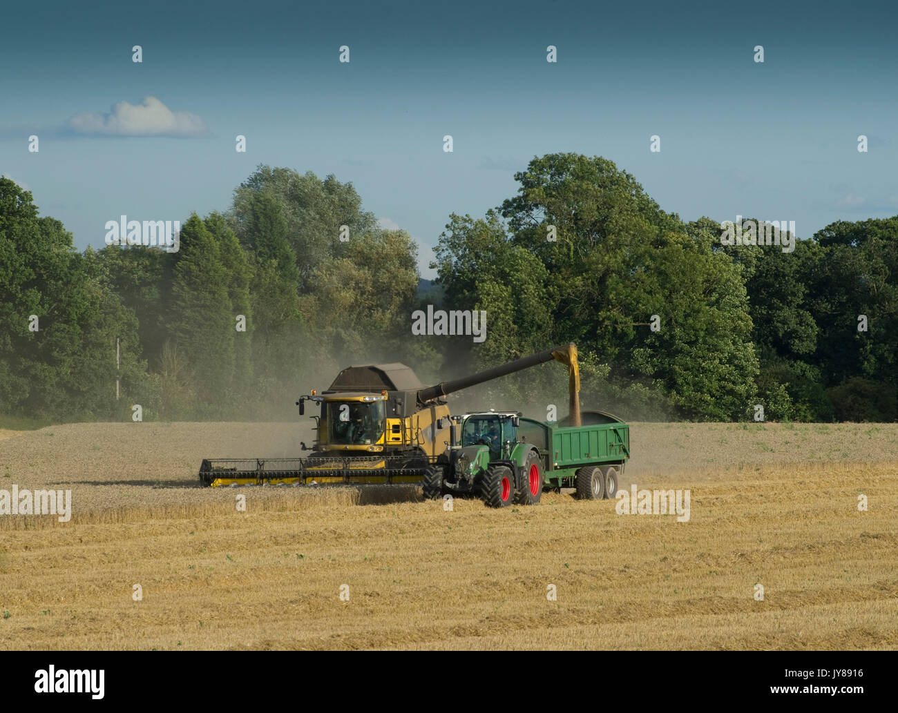 Harvesting at Dordon, North Warwickshire, Stock Photo