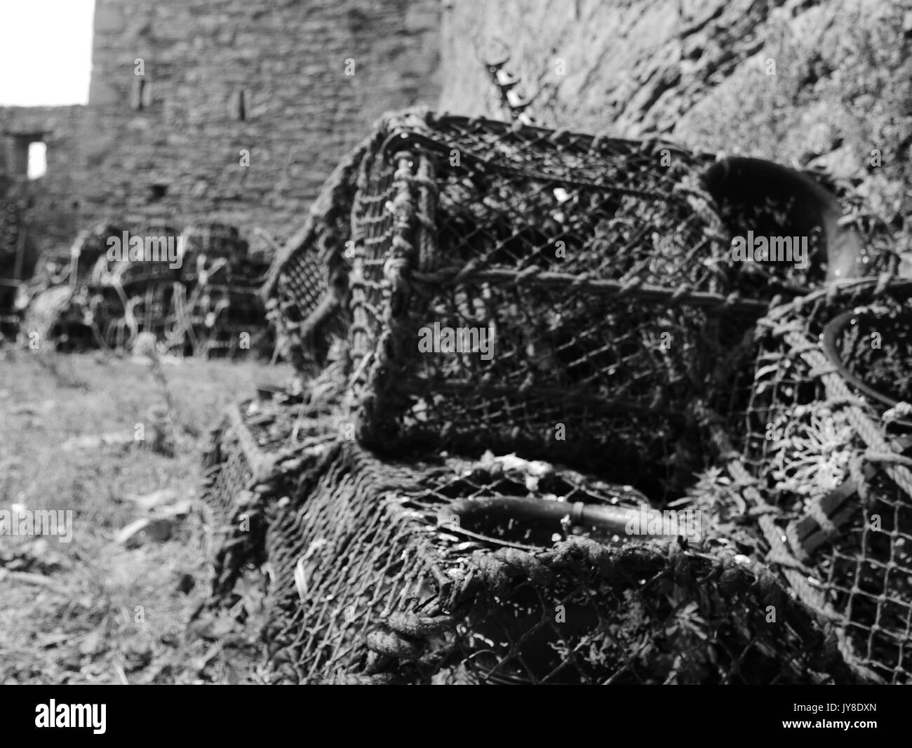 Lobster Crates Stock Photo - Alamy