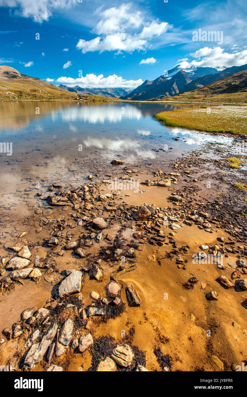 Clouds reflecting in the crystal clear water of a small Alpine lake by Gavia Pass. On the right-hand side a group of cotton-grass (eriophorus) is bloo Stock Photo