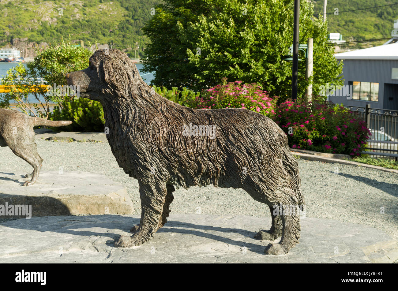 statue of Newfoundland dog breed Stock Photo Alamy