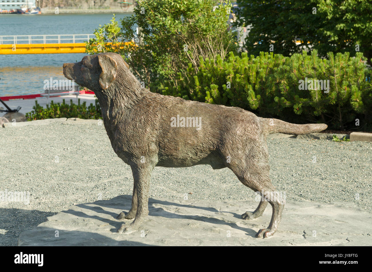 statue of Newfoundland dog breed Stock Photo Alamy