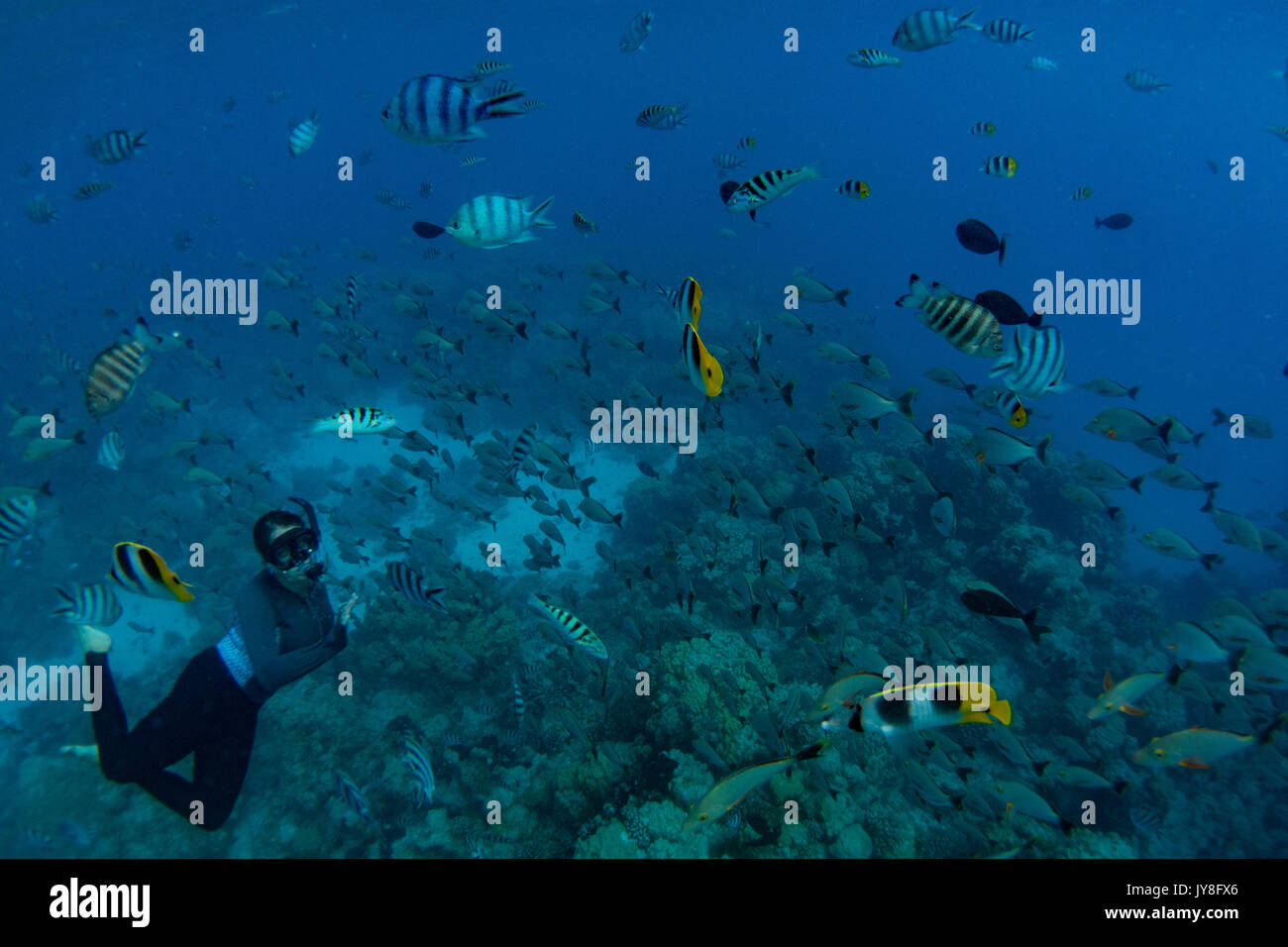 A snorkeler enjoying the massive schools of fish at Rangiroa atoll