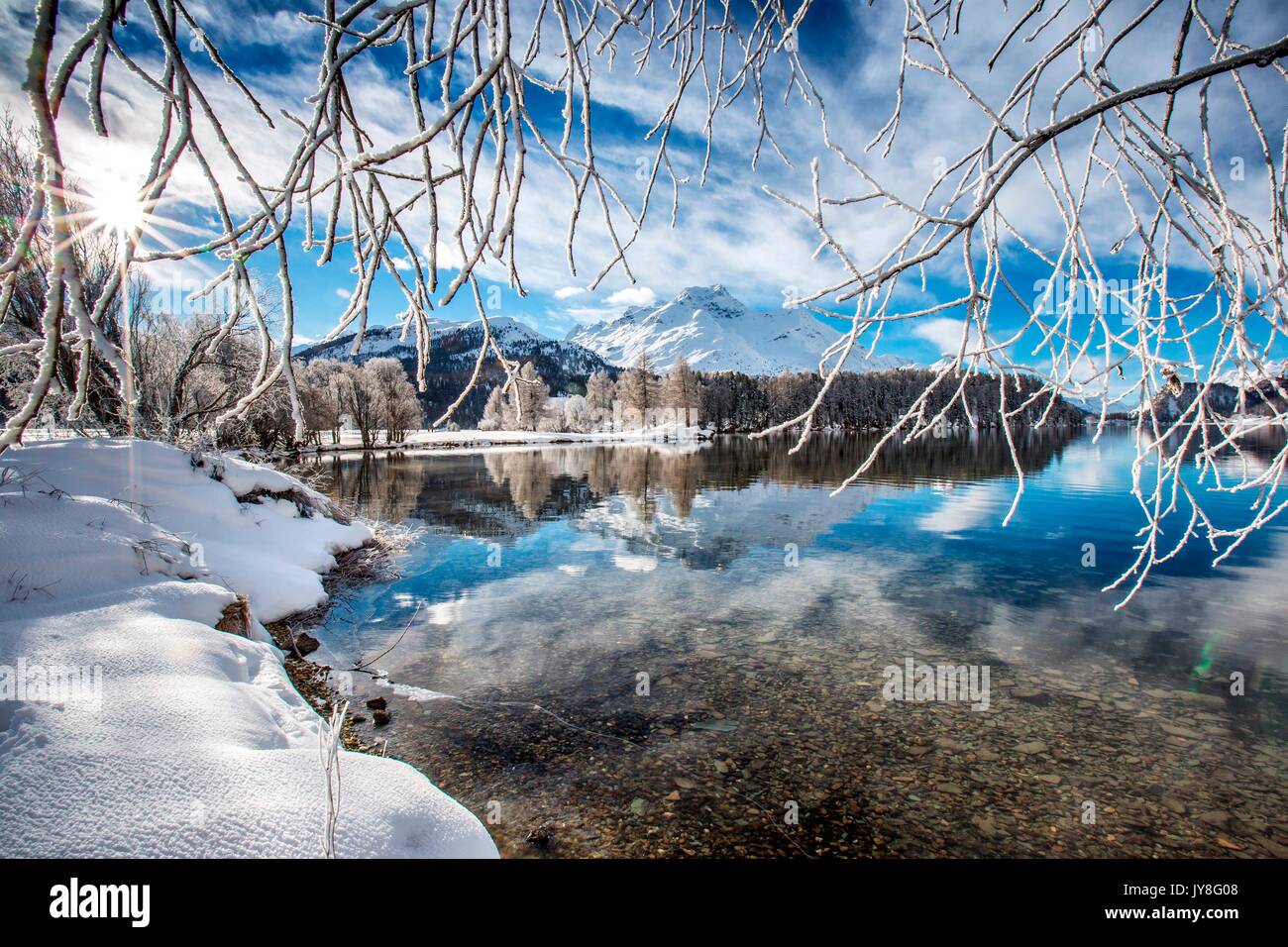 Hoarfrost covering the branches of the trees on the banks of Lake Sils, Engadine, Switzerland Stock Photo