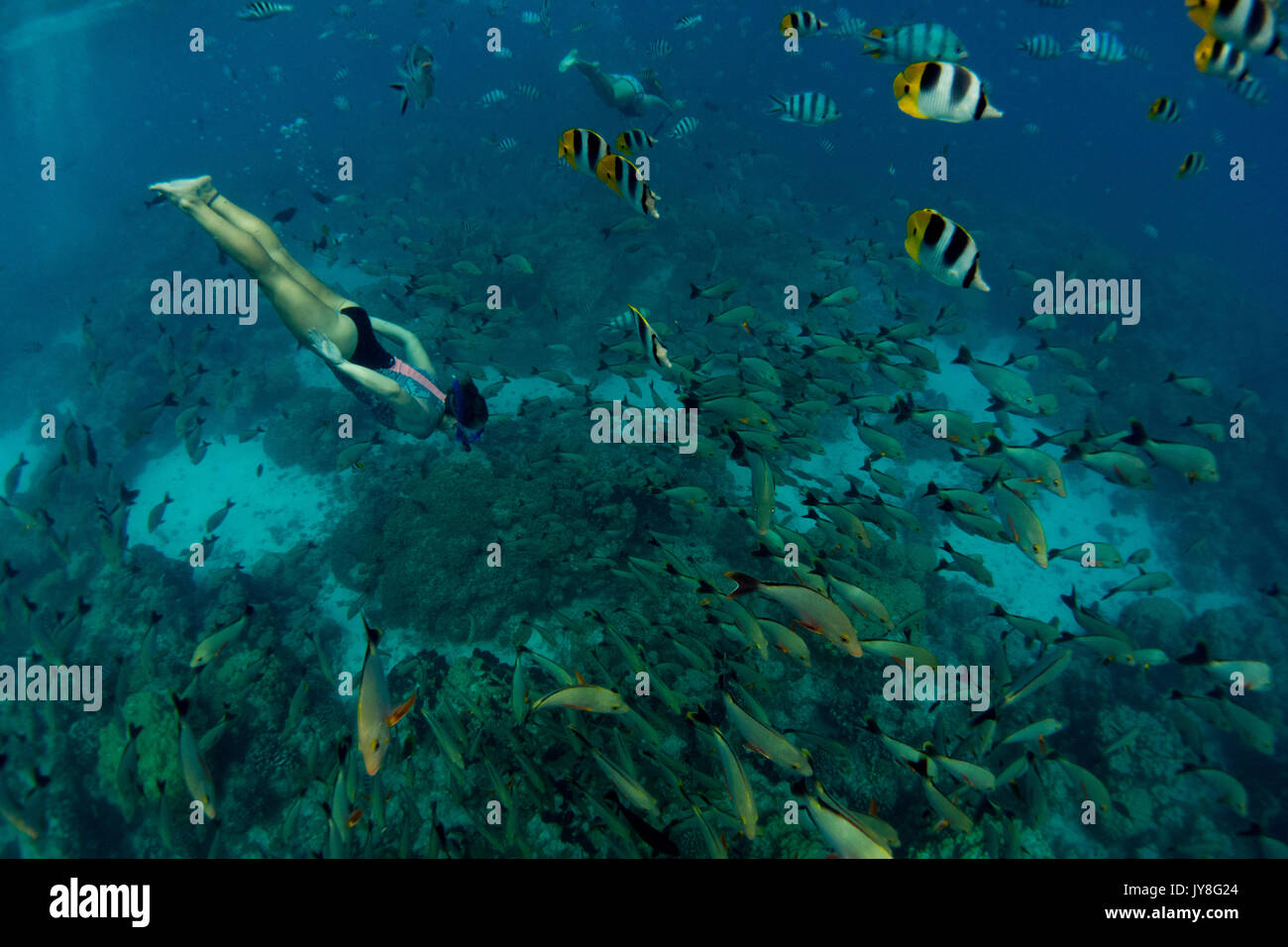A snorkeler enjoying the massive schools of fish at Rangiroa atoll