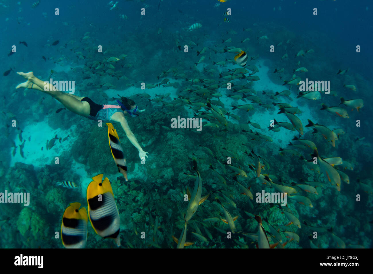 A snorkeler enjoying the massive schools of fish at Rangiroa atoll