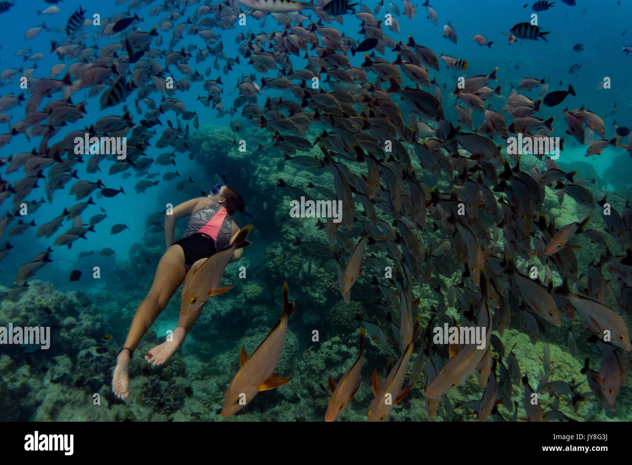 A snorkeler enjoying the massive schools of fish at Rangiroa atoll